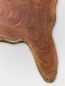 Preview: Spanish Cedar Tree Disc - Unique Table raw 180cm #006