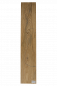 Preview: Body Swamp Ash, 2-pcs. grainma., Caramel, MD, Unique Piece #200