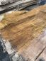 Preview: Table Slabe caucasian Walnut #4.2