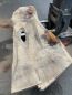 Preview: Table Slabe caucasian Walnut #4.1