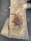 Preview: Table Slabe caucasian Walnut #4.4