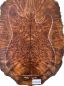 Preview: Top Thuya-Burl 2-pcs. 9mm Unique Piece #003