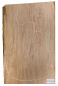 Preview: Body Alder, European AA, 1-pc., Unique Piece #067 - Kopie