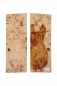 Preview: Body Poplar Burl 2-pcs. bookmatched, Unique Piece #044