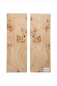 Preview: Body Poplar Burl 2-pcs., Unique Piece #046