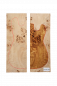 Preview: Body Poplar Burl 2-pcs., Unique Piece #046