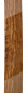 Preview: Fretboard Olivewood, 725x82x10mm - Unique Piece #009