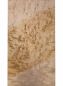 Preview: Neck Bird's Eye Maple, 720x144x25mm, Unique Piece #096