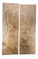 Preview: Body Birch, Prime, 2-pcs. grainmatched