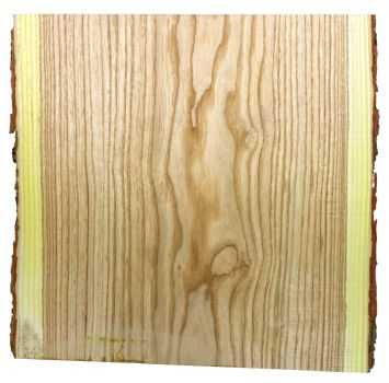 Bowl Blank Kentucky Coffee Wood 200x200x85mm