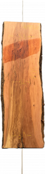 Unique board apple wood #002