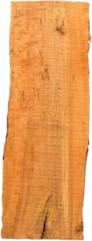 Unique board apple wood #002