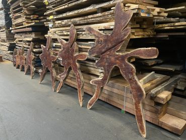 Spanish Cedar Tree Disc - Unique Table raw 180cm #006