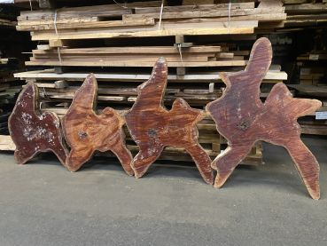 Spanish Cedar Tree Disc - Unique Table raw 180cm #006