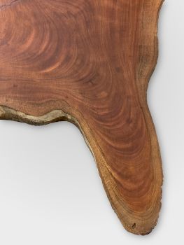 Spanish Cedar Tree Disc - Unique Table raw 105cm #002