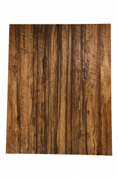 Body Black Korina, 1-tlg. Explorer, Einzelstück #066