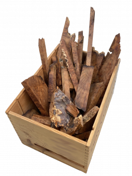 Thuya Maserknolle - 2kg