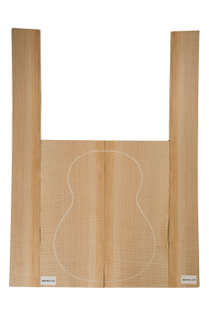 Back & Sides American Curly Maple, Classic Size, Unique Piece #011
