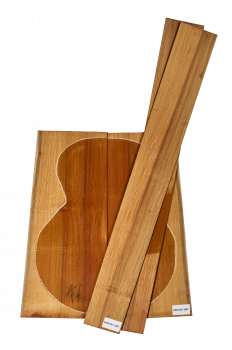 Back & Sides Carribean Pernambuco OM-Model - Unique Piece #007
