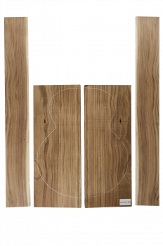 Boden & Zargen Aus. Blackwood Archtop Einzelstück #003