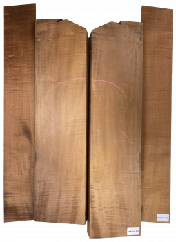 Preview: Back & Sides Sycamore / Europ. Maple, Caramel, Archtop Unique Piece #025