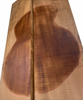 Back & Sides Sycamore / Europ. Maple, Caramel, Archtop Unique Piece #025