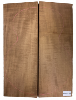 Preview: Back & Sides Sycamore / Europ. Maple, Caramel, Archtop Unique Piece #028