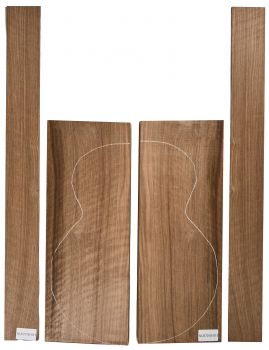 Boden & Zargen Nussbaum, europ., Archtop, EInzelstück #015
