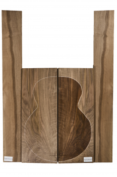 Boden & Zargen Nussbaum, kaukasisch, Archtop, EInzelstück #014