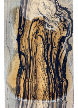 Preview: Top Royal White Ebony 8mm Einzelstück #054