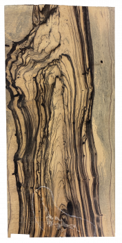 Preview: Top Royal White Ebony 8mm Einzelstück #054