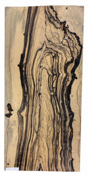 Preview: Top Royal White Ebony 8mm Einzelstück #055