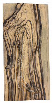 Top Royal White Ebony 8mm Einzelstück #056