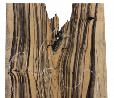 Preview: Top Royal White Ebony 8mm Einzelstück #058