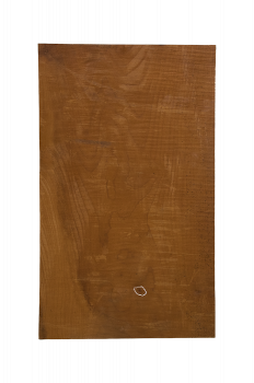 Preview: Body Ahorn leicht geriegelt A, 1-tlg., Caramel, Einzelstück #053