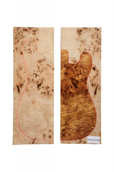 Preview: Body Poplar Burl, 2-pcs. bookmatched, Unique Piece #048