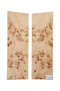 Body Poplar Burl, 2-pcs. bookmatched, Unique Piece #050
