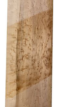 Preview: Neck Bird's Eye Maple, 870x117x26mm, Unique Piece #086