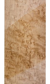Preview: Neck Bird's Eye Maple, 720x118x26mm, Unique Piece #089