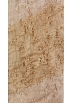 Preview: Hals Vogelaugenahorn, 720x130x26mm, Einzelstück #090