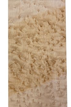 Preview: Neck Bird's Eye Maple, 720x115x26mm, Unique Piece #093