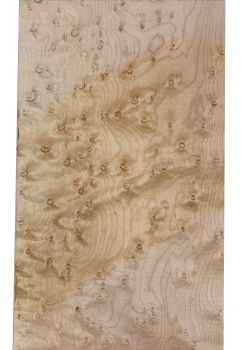 Preview: Neck Bird's Eye Maple, 720x155x23mm, Unique Piece #094