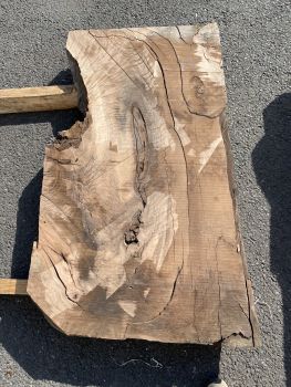 Table Slab Caucasian Walnut #03