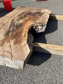 Table Slab Caucasian Walnut #03