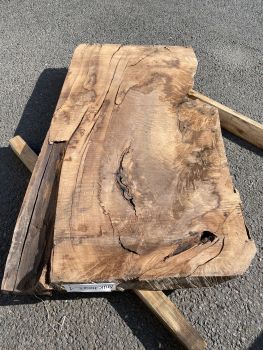 Table Slab Caucasian Walnut #03