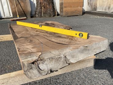 Table Slab Caucasian Walnut #03