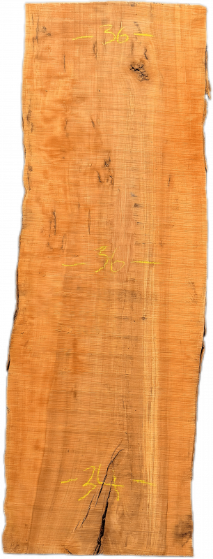 Unique board apple wood #002