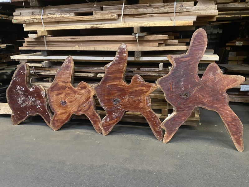 Spanish Cedar Tree Disc - Unique Table raw 160cm #005
