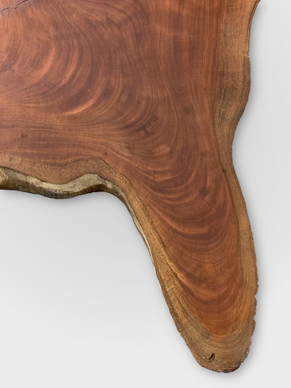 Spanish Cedar Tree Disc - Unique Table raw 90cm #001