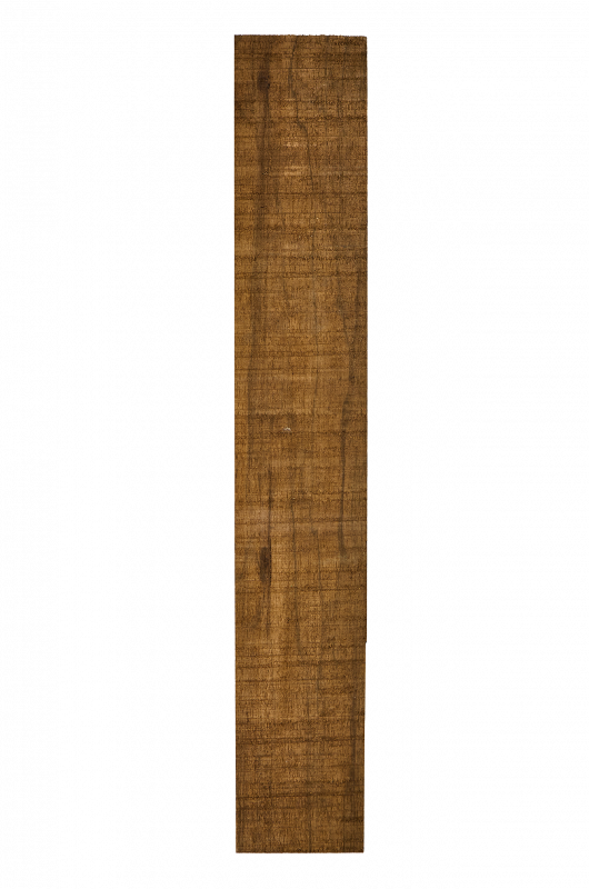 Hals Korina  695x110x50mm Einzelstück #019